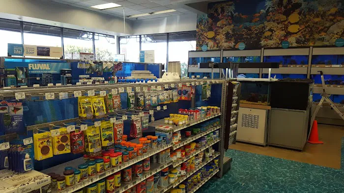 Petco Picture 4