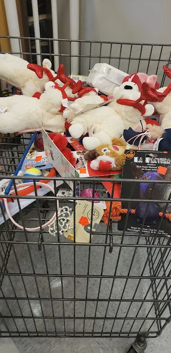 Petco Picture 3
