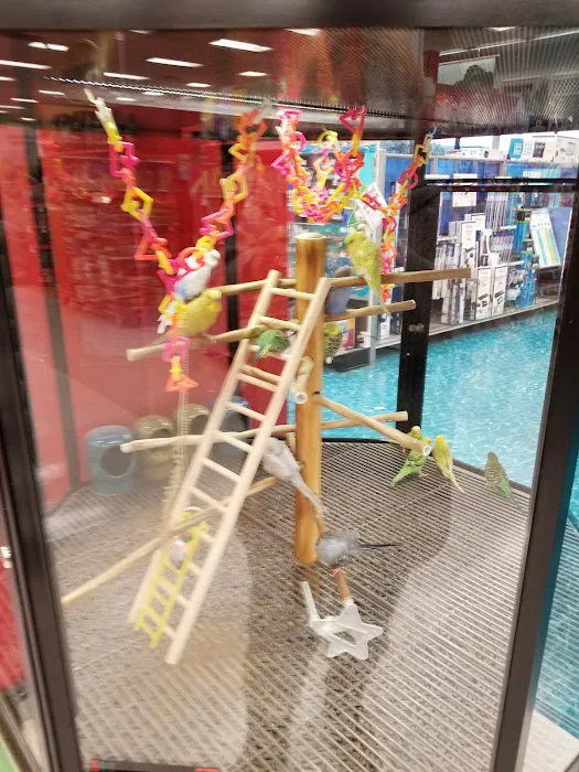 Petco Picture 5
