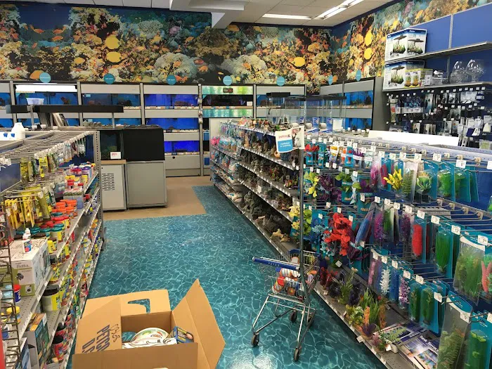 Petco Picture 8