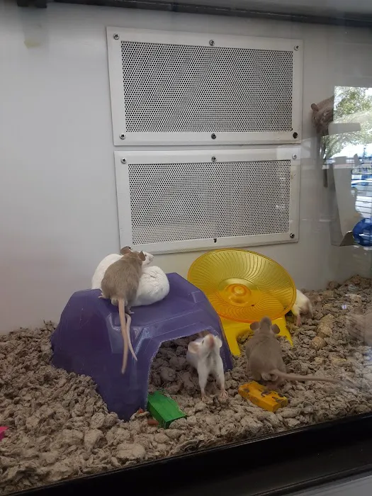 Petco Picture 10