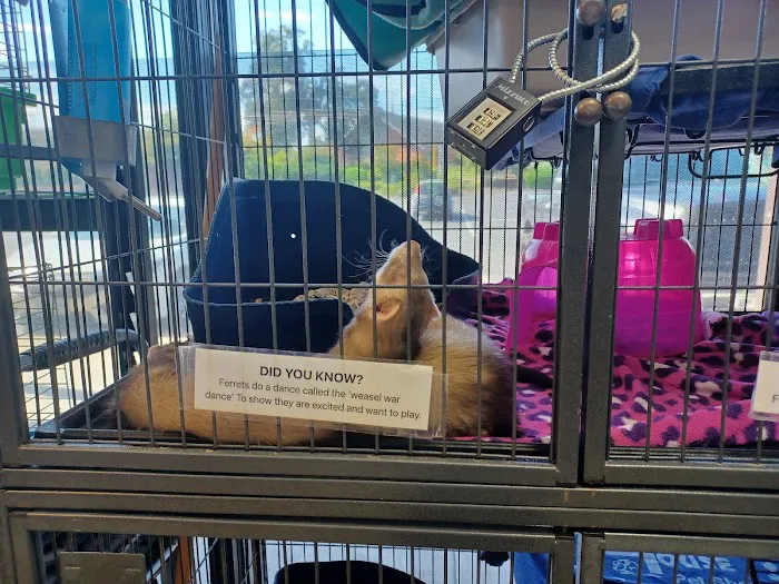 Petco Picture 9