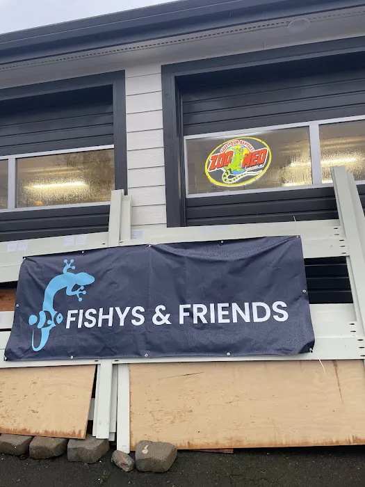 Fishys & Friends Picture 9