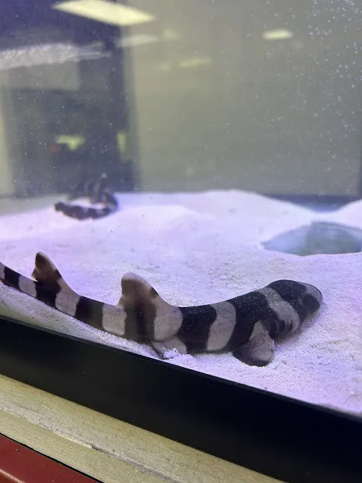 Fishys & Friends Picture 2