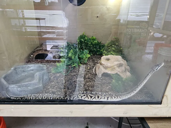 Fishys & Friends Picture 5