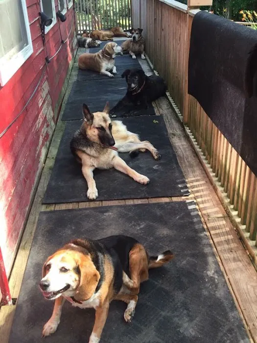 Almost Home Animal Sanctuary Picture 4