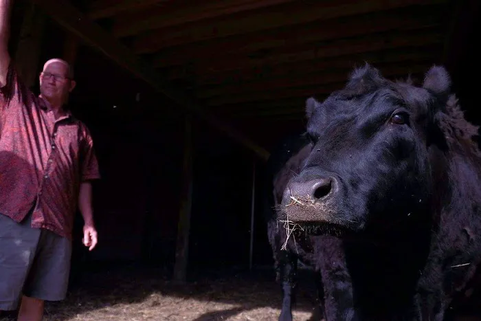 Almost Home Animal Sanctuary Picture 6