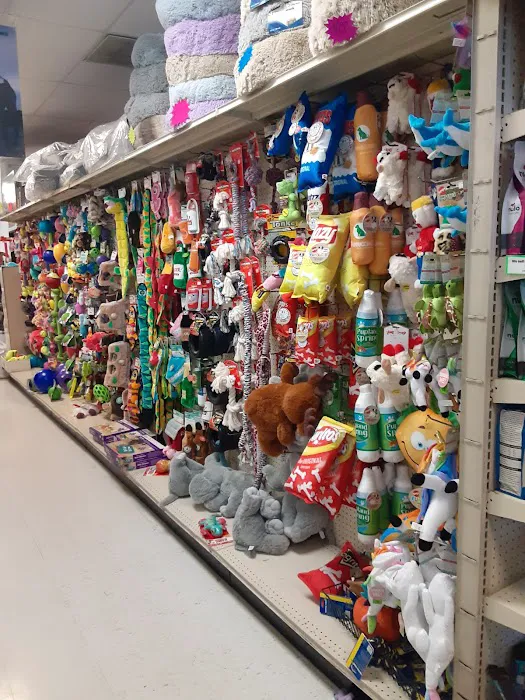 Animal House Pet Shop Picture 10
