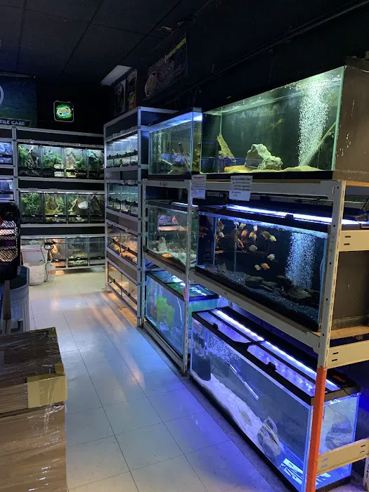 Animal House Pet Shop Picture 7