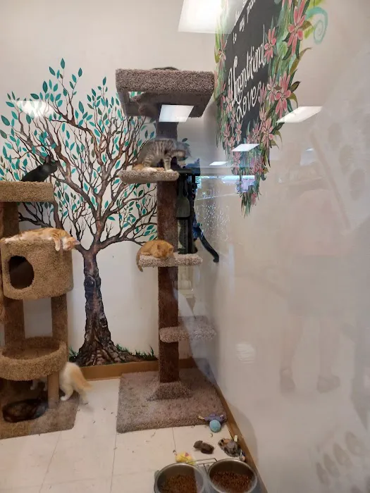 Animal House Pet Shop Picture 5