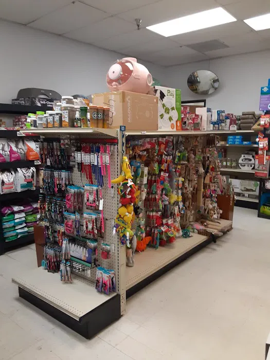 Animal House Pet Shop Picture 9