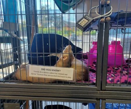 Animal House Pet Shop
