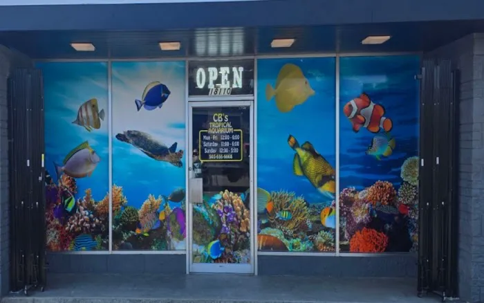 CB'S Tropical Aquarium Picture 12