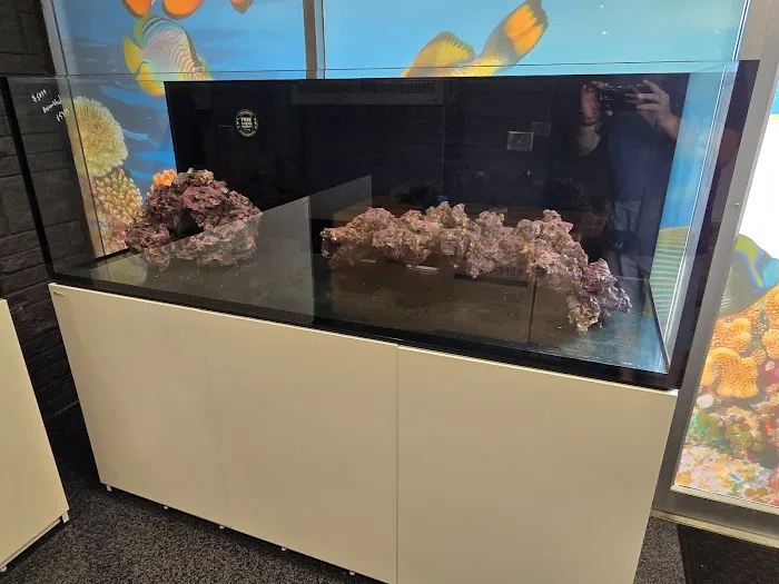 CB'S Tropical Aquarium Picture 13