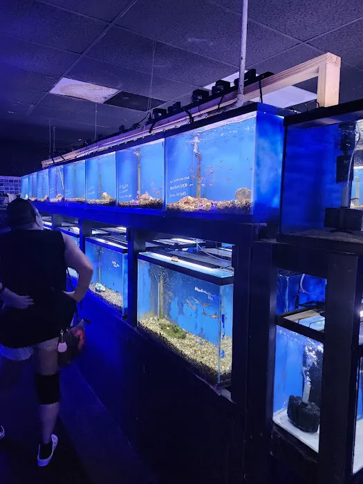 CB'S Tropical Aquarium Picture 10