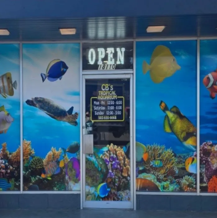 CB'S Tropical Aquarium Picture 16