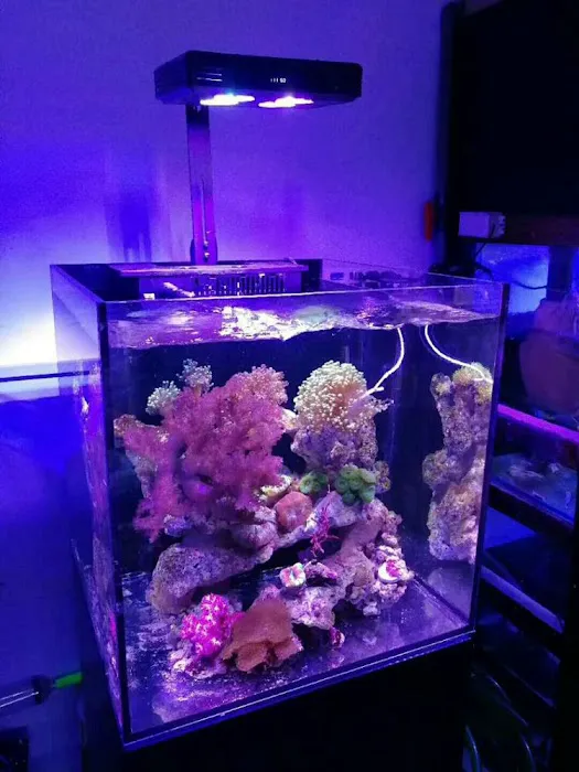 CB'S Tropical Aquarium Picture 14