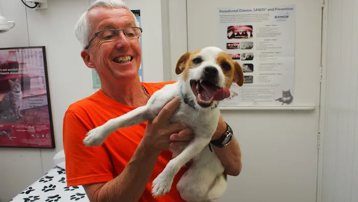 East Aurora Veterinary Hospital Picture 3