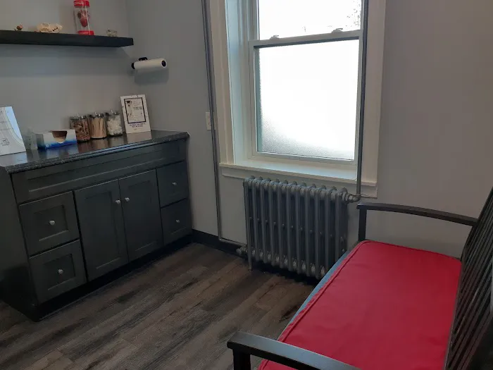 Boston Valley Animal Hospital Picture 6