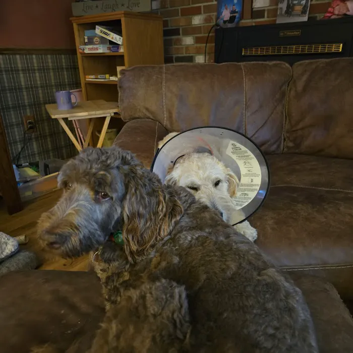 McKean County Animal Hospital Picture 6