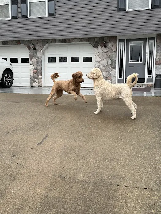 McKean County Animal Hospital Picture 8