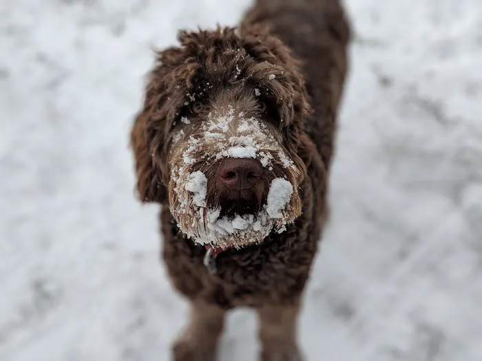 McKean County Animal Hospital Picture 7