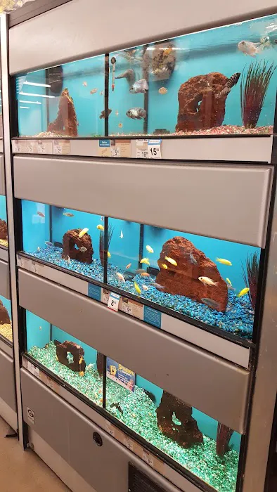 Petco Picture 1