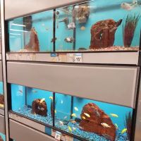 Petco ico