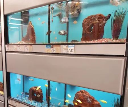 Petco