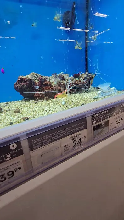Petco Picture 8