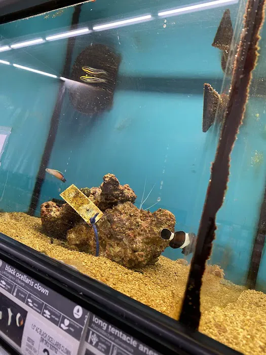 Petco Picture 7