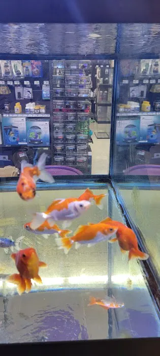 Petco Picture 5