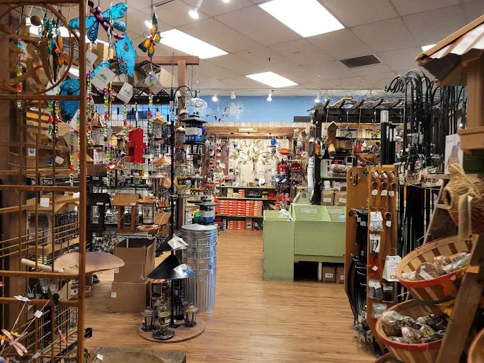 Backyard Bird Shop Vancouver LTD Picture 2