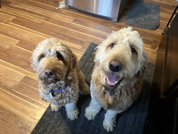 Dr. Rumsey Vet Clinic Picture 1