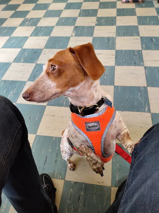 Dr. Rumsey Vet Clinic Picture 7