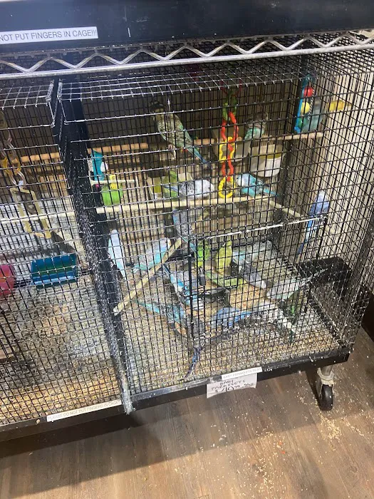 Alley Cat Pet Center Picture 9