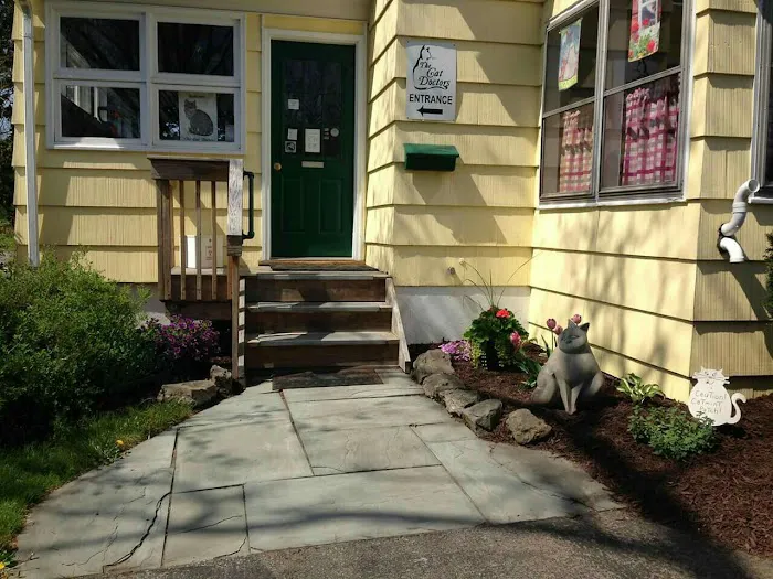 Cat Doctors Picture 1