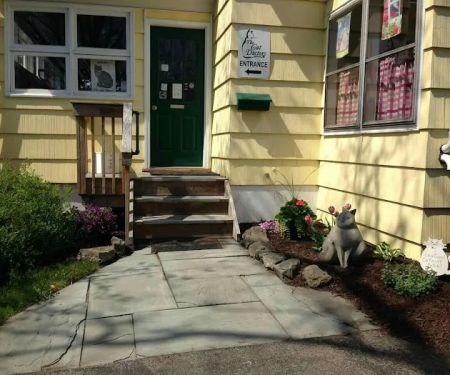 Cat Doctors