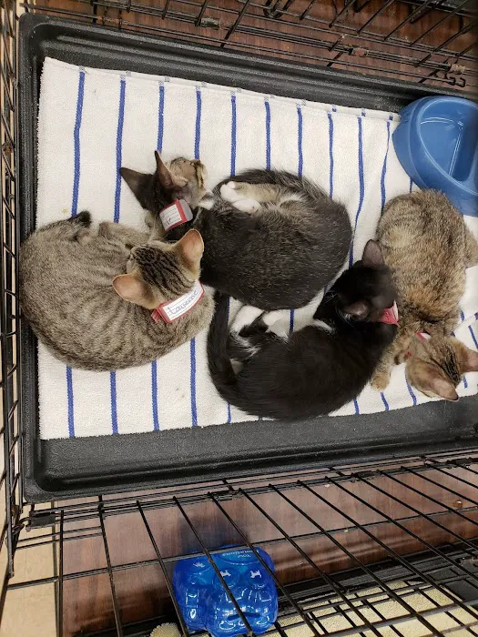 Petco Picture 2