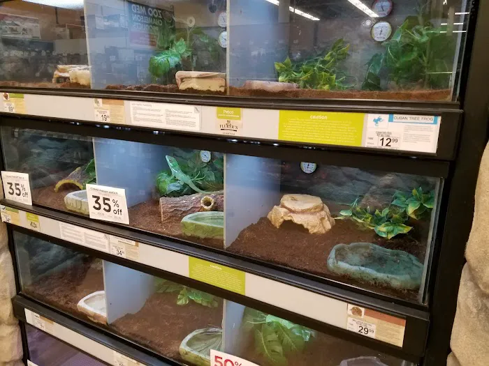 Petco Picture 5