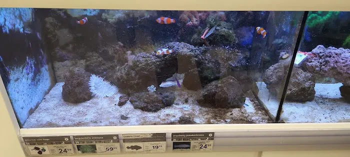Petco Picture 3