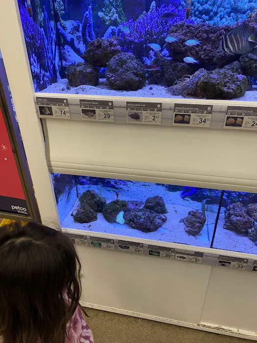 Petco Picture 9