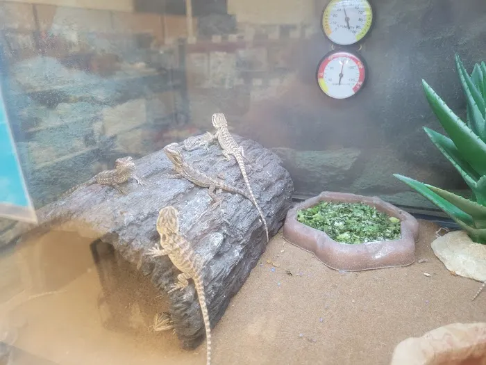 Petco Picture 7