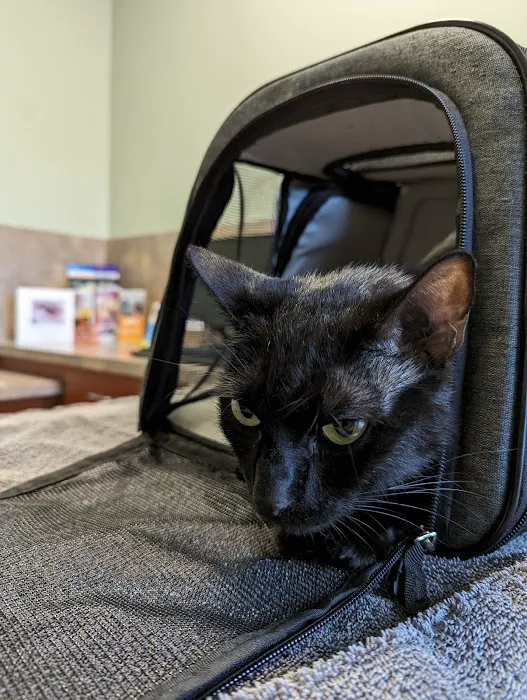 Cats & Critters Veterinary Hospital Picture 9