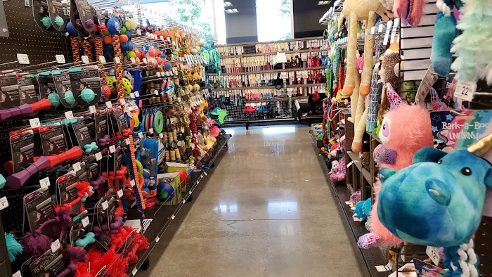 Petco Picture 2