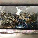 NV Innovative Products LLC