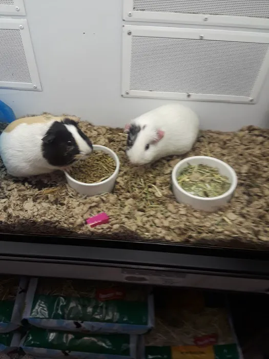 Petco Picture 5