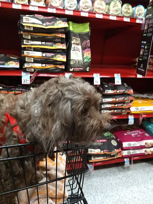 Petco Picture 2