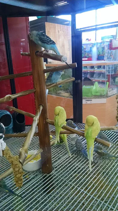 Petco Picture 9
