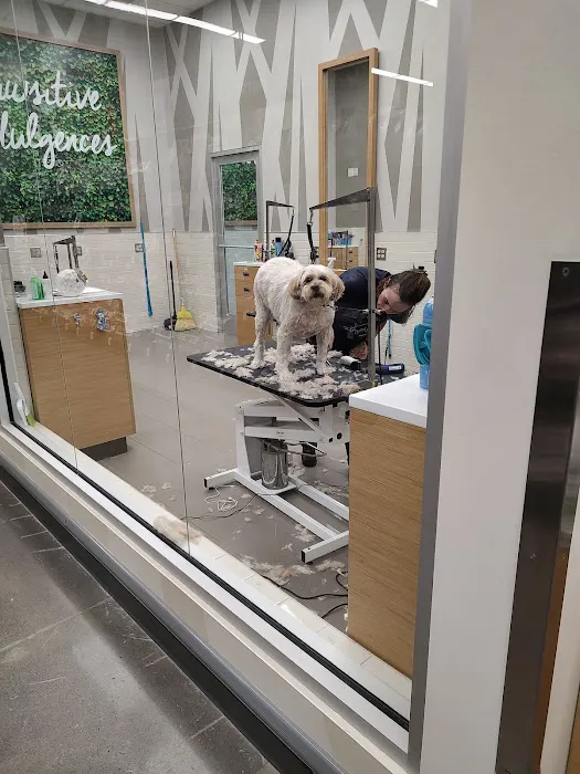 Petco Picture 4